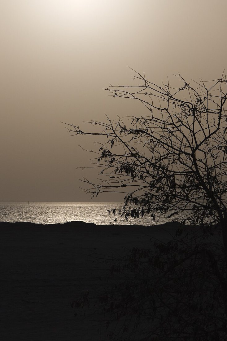 Hudayriyat Island