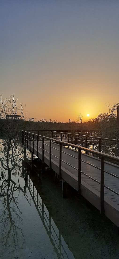 Jubail Mangrove Park