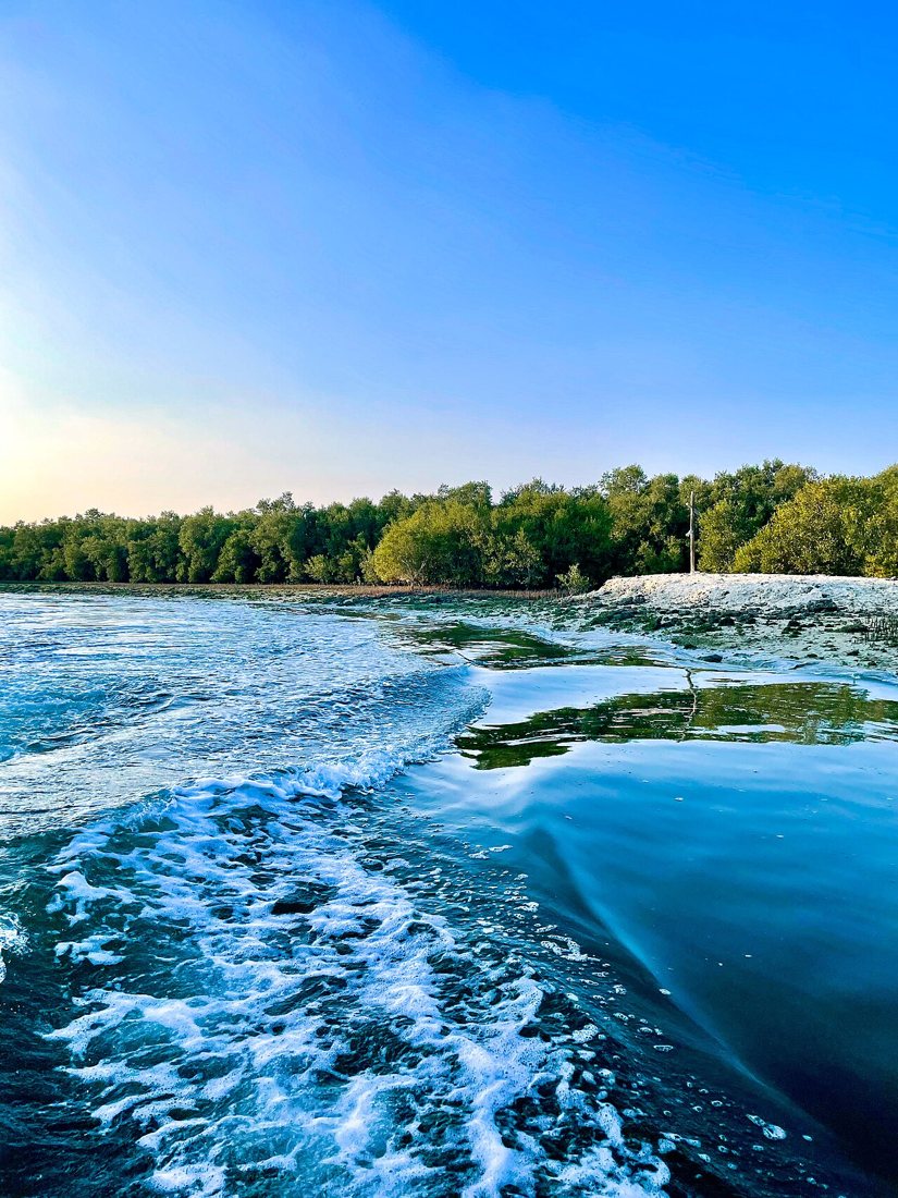 Mangrove National Park