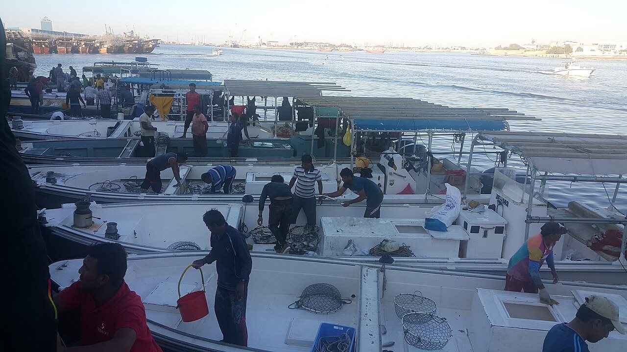 Ajman fishing harbour and boats; not the Dhow Yard workshops