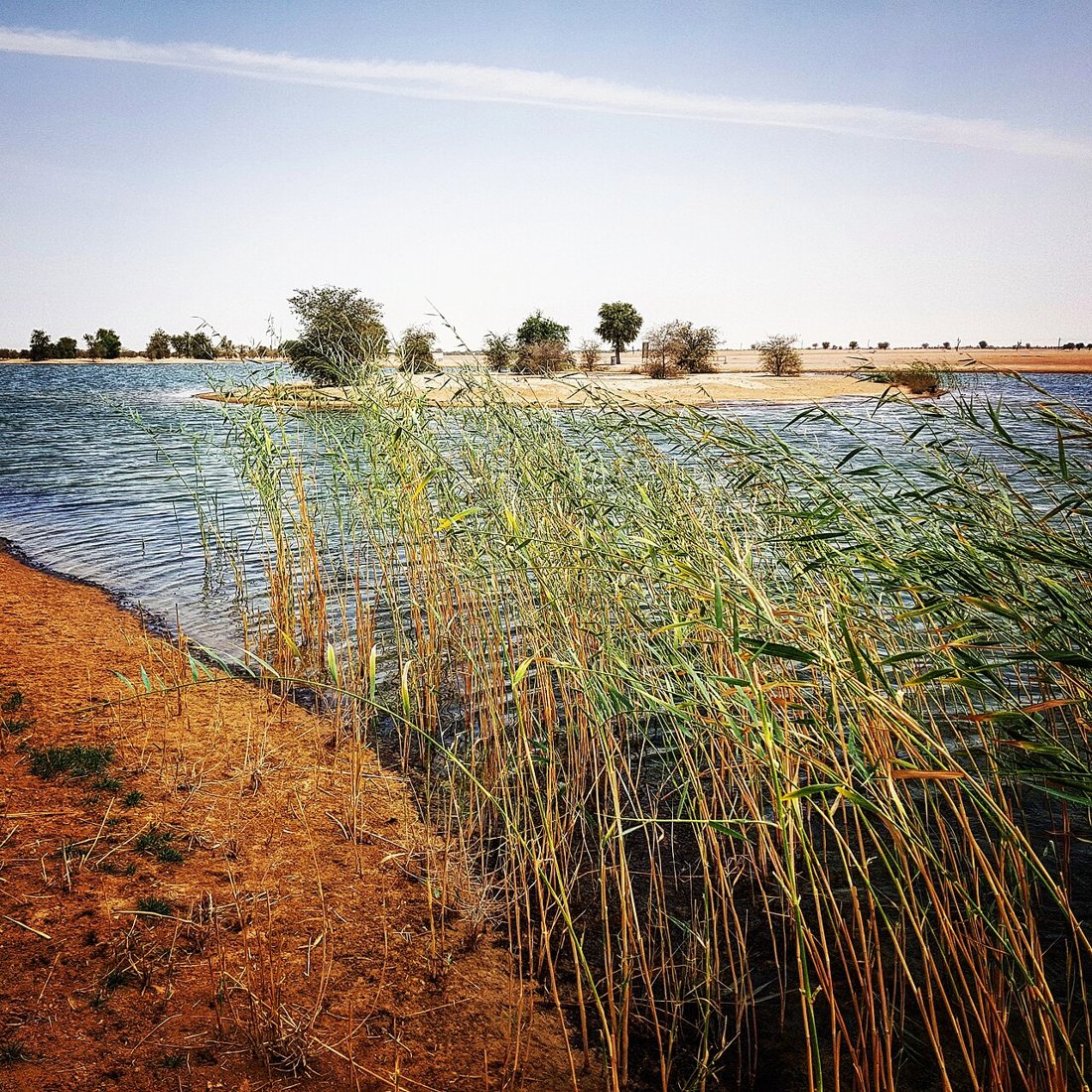 Al Qudra Lakes in Dubai