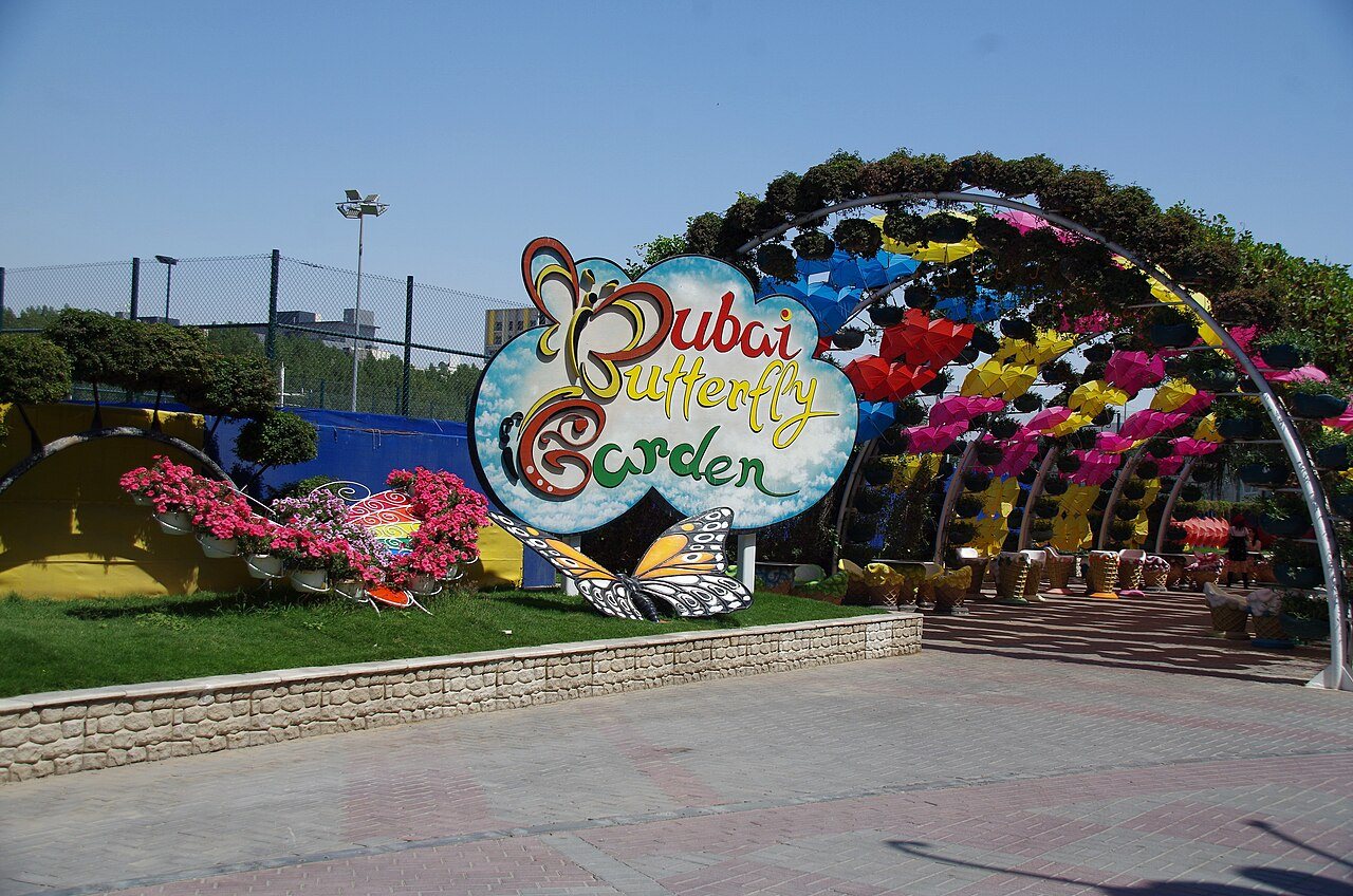 Dubai Butterfly Garden in Dubai