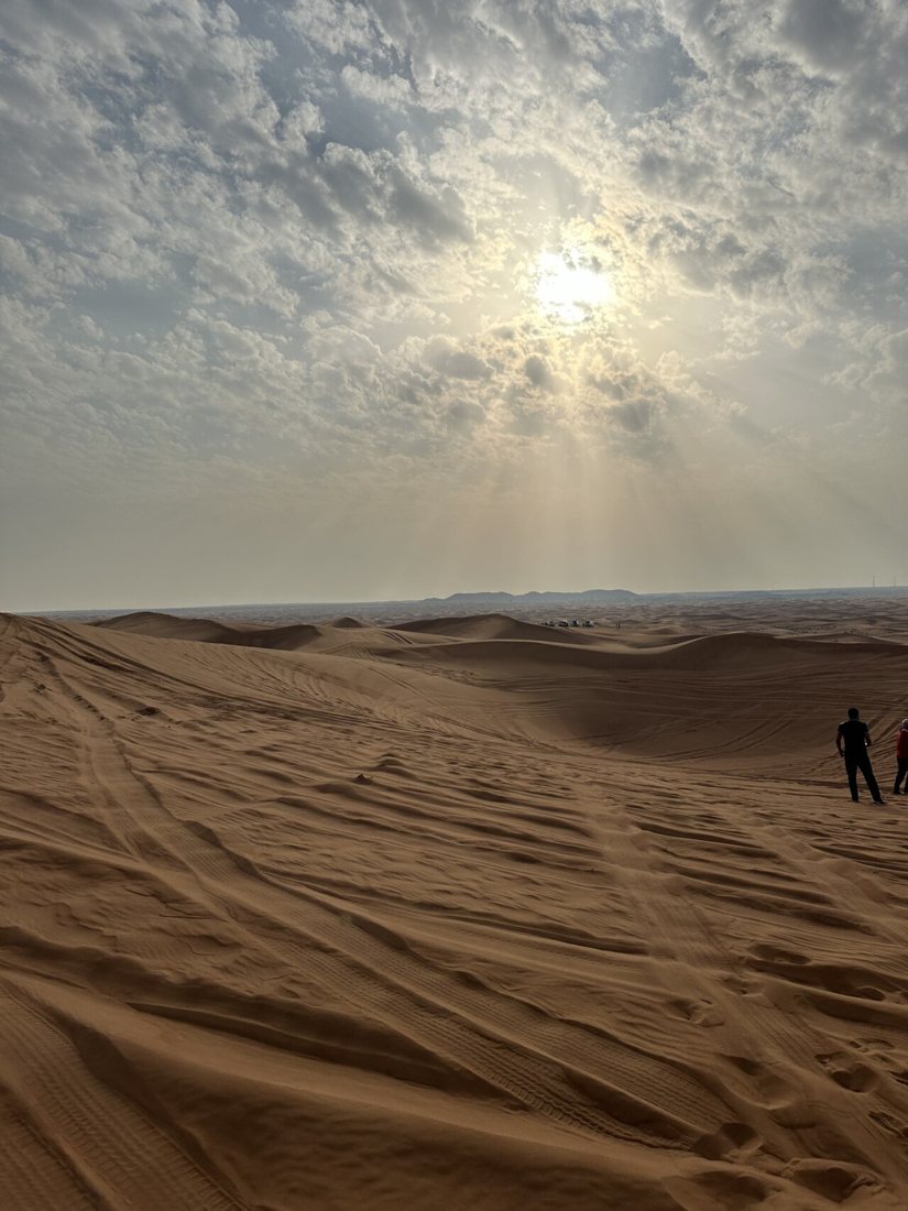 Dubai Desert Conservation Reserve in Dubai