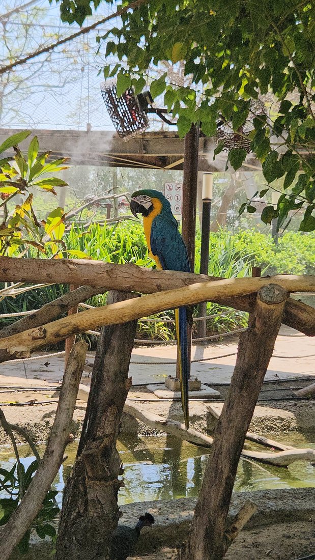 Dubai Safari Park