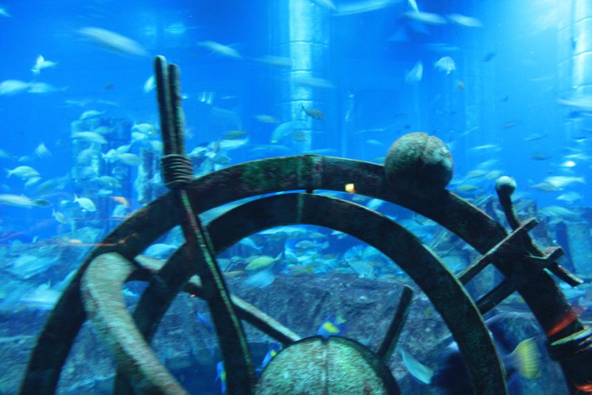 Lost Chambers aquarium, photographed before its rebranding as Lost World Aquarium