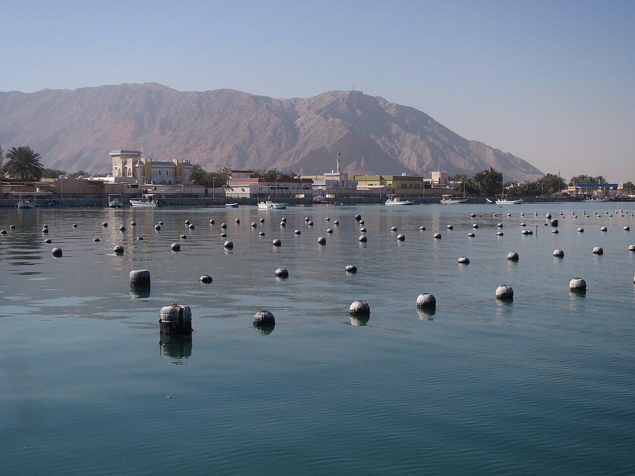 Suwaidi Pearl Farm in Ras Al Khaimah