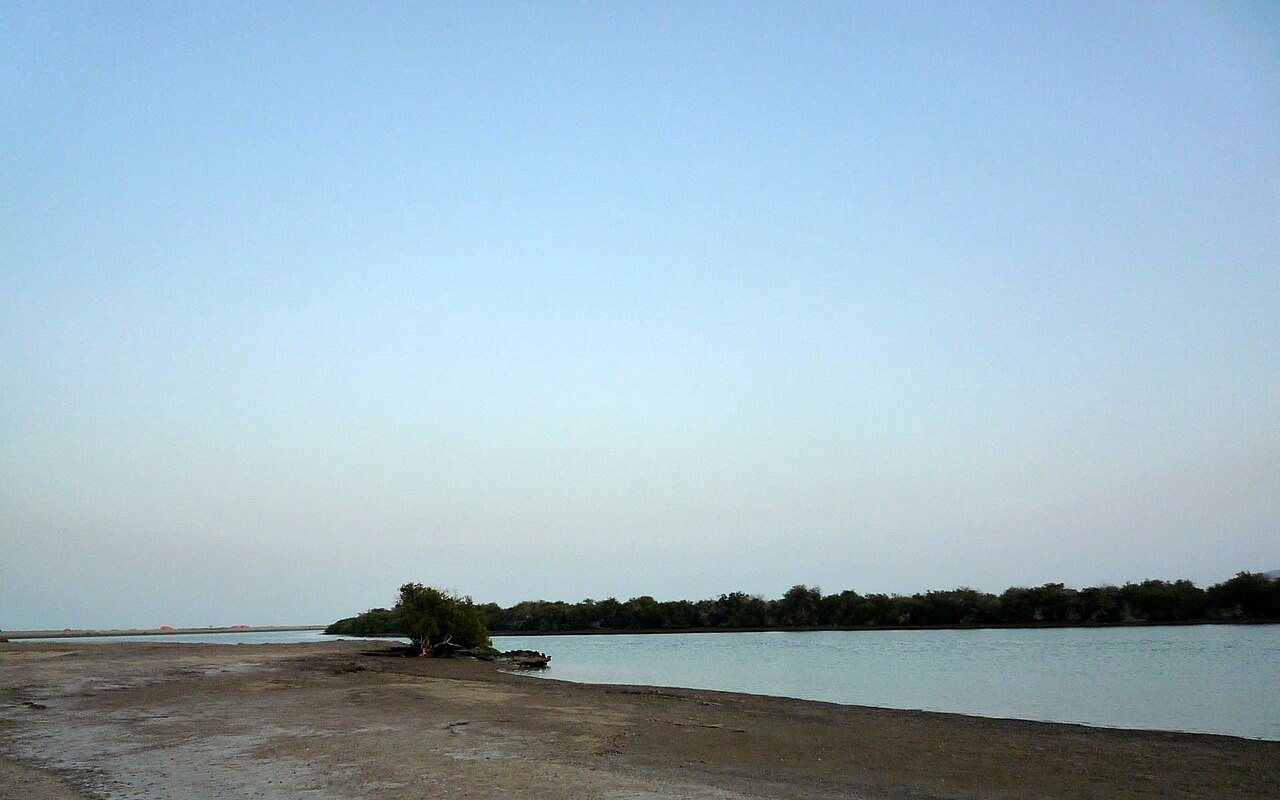 Kalba coastal mangrove landscape; not the Hanging Gardens