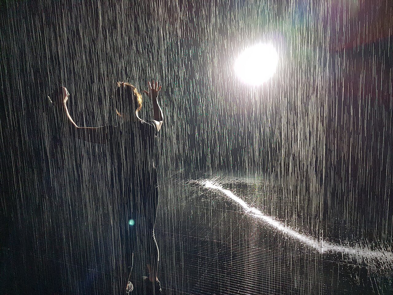 Rain Room in Sharjah