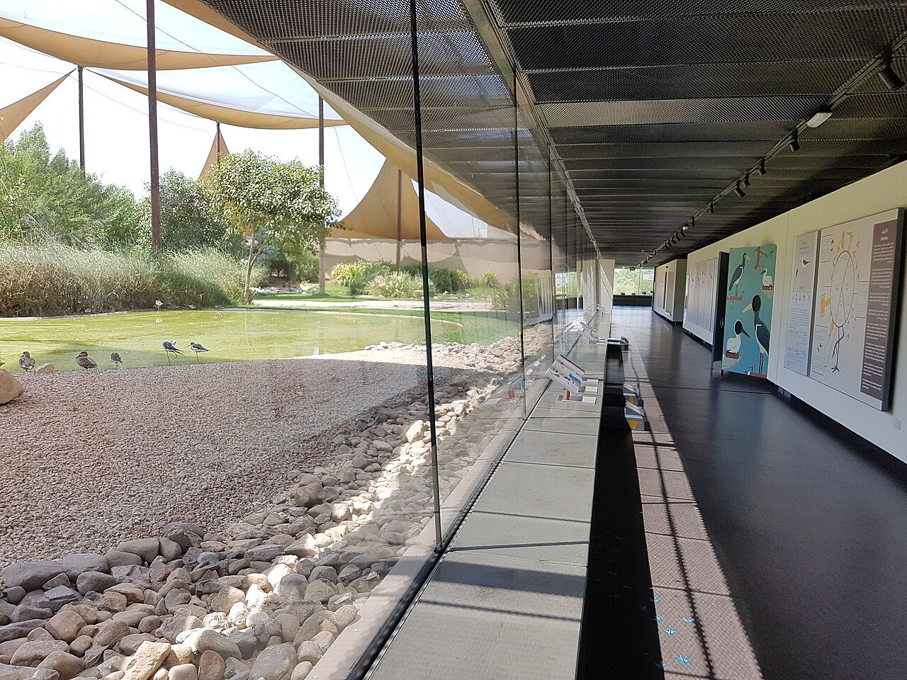 Wasit Nature Reserve in Sharjah