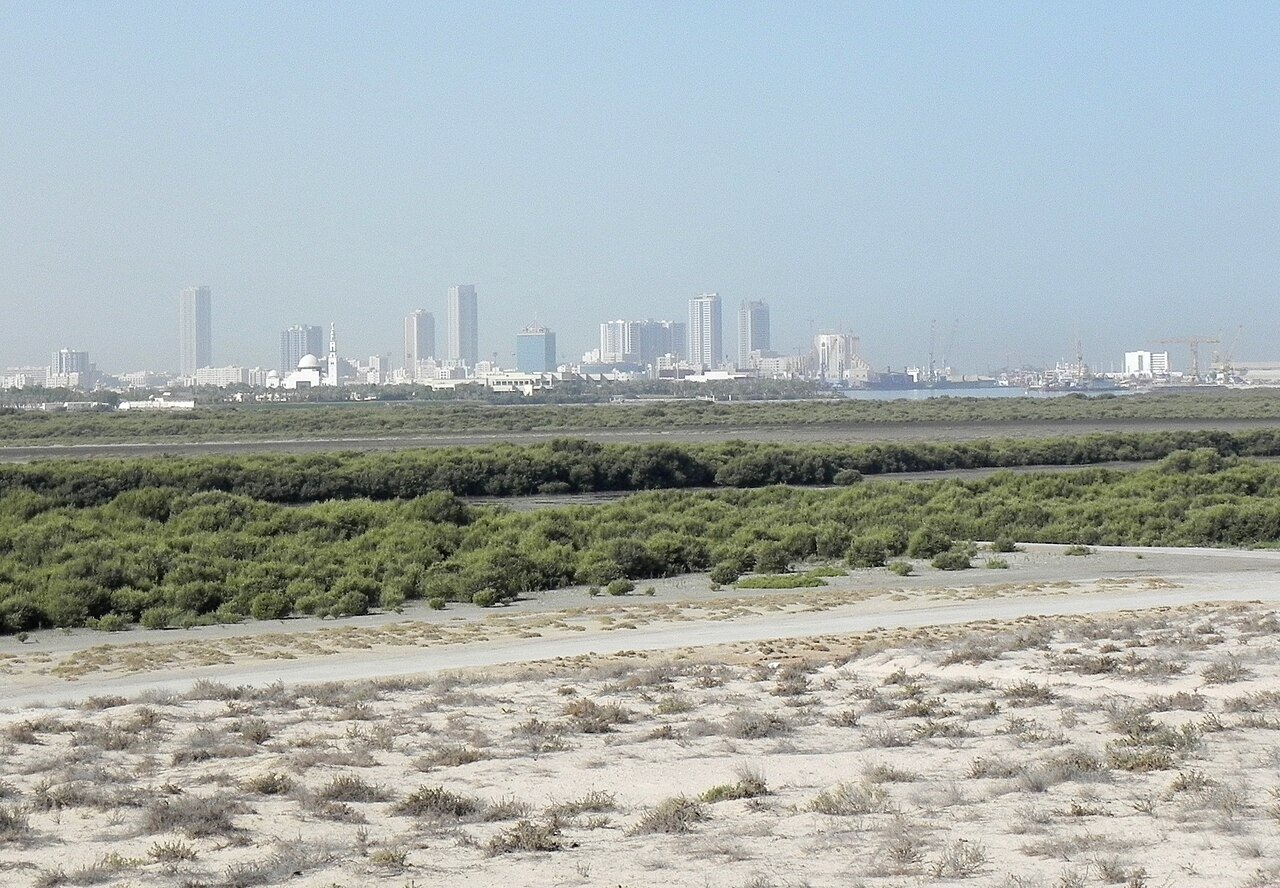 Umm Al Quwain mangroves photographed in 2012; not Mangrove Beach facilities